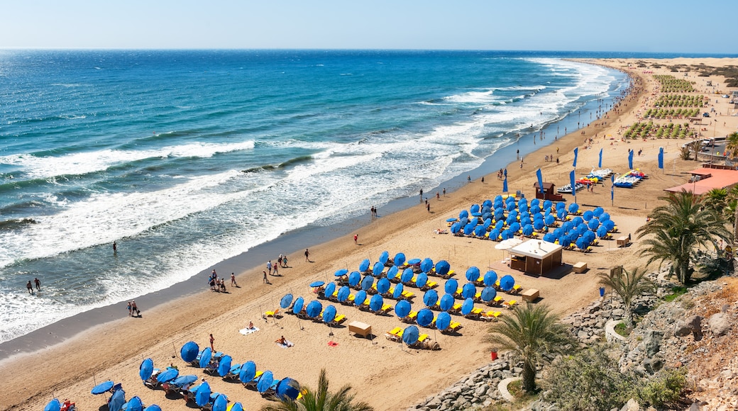 Campo Internacional Maspalomas