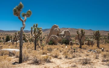 Yucca Valley, California, United States of America