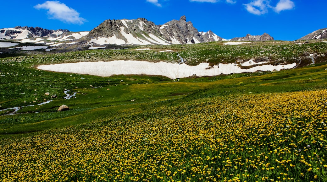 Hakkari Province