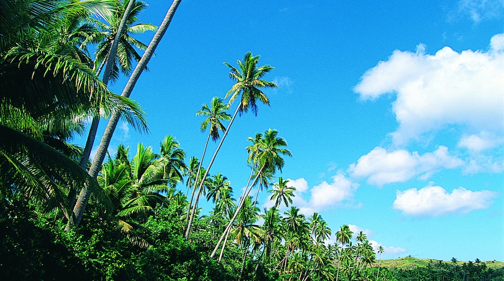 Isla Kadavu