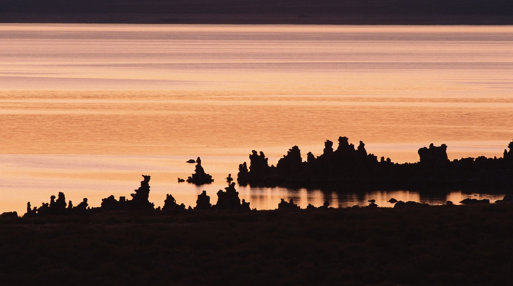 Reserva natural estadual Mono Lake Tufa