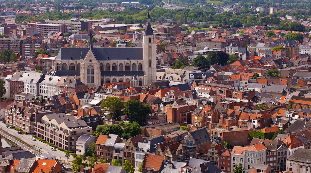 Mechelen, Den Flamske Region, Belgien