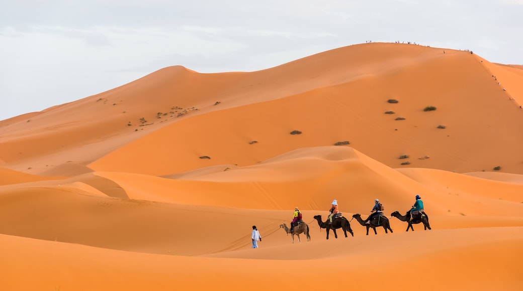 Meknes-Tafilalet