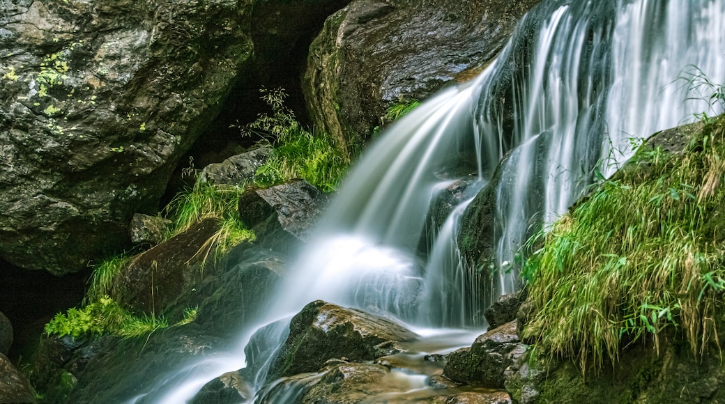 Bavarian Forest Nature Park