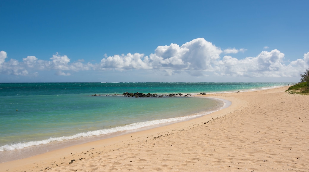 Napili-Honokowai