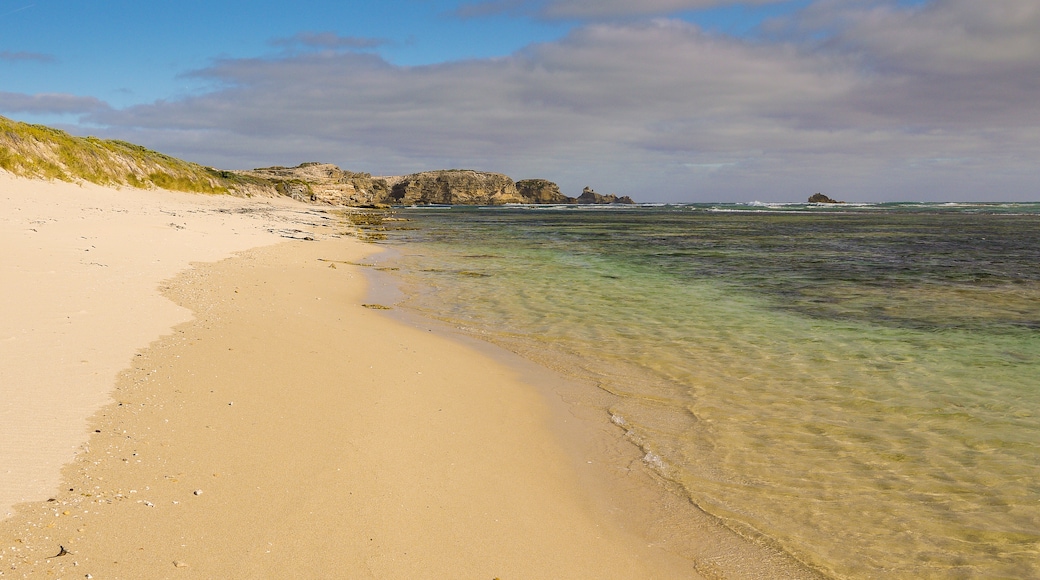 石灰岩海岸, 澳洲