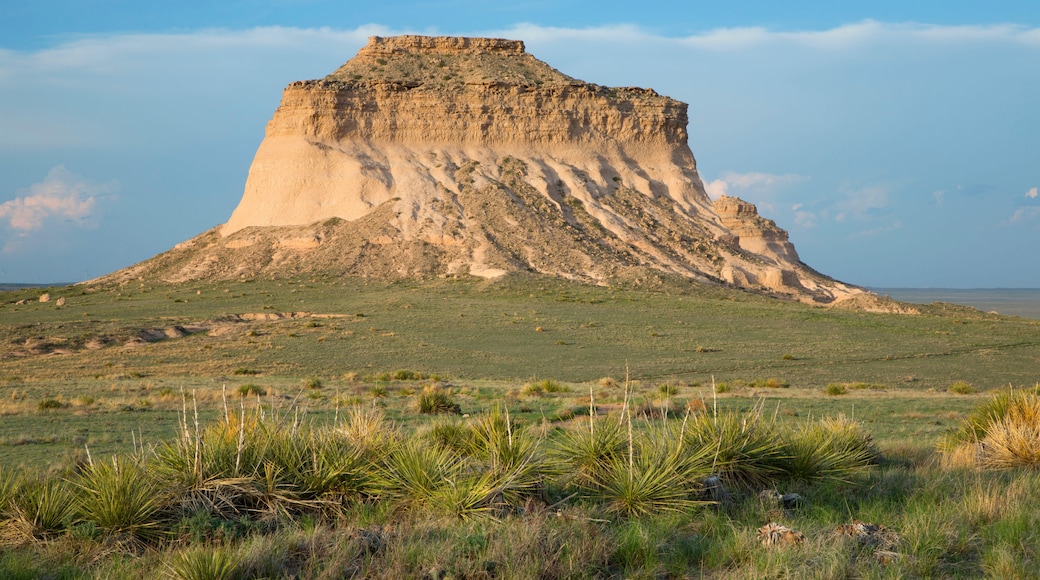 Eastern Plains