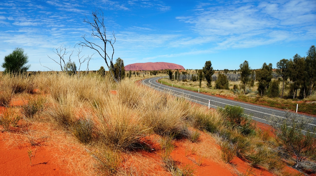 Uluru-Kata Tjuta National Park, Petermann, Northern Territory, Australia