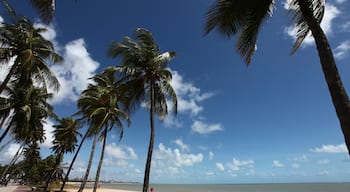 Tambau, Joao Pessoa, Paraíba, Brazília