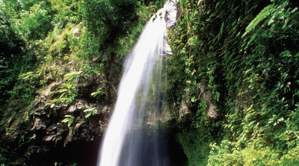 Isola di Taveuni East