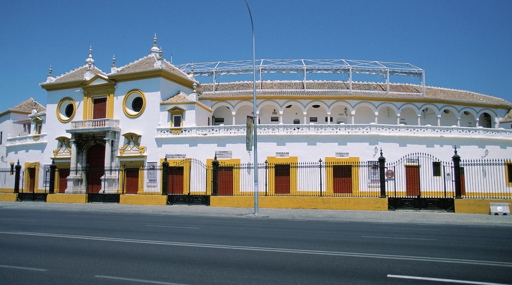 สนามแข่งวัว Plaza de Toros de la Real Maestranza