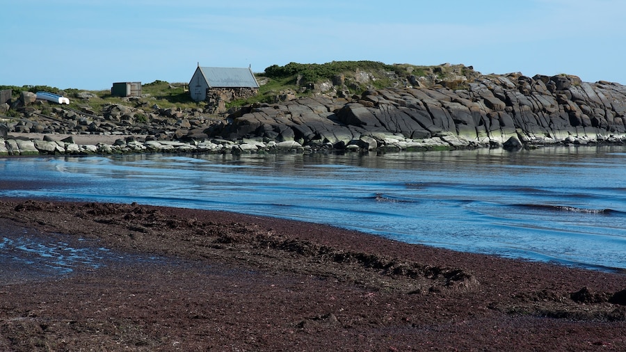 Skrea Beach