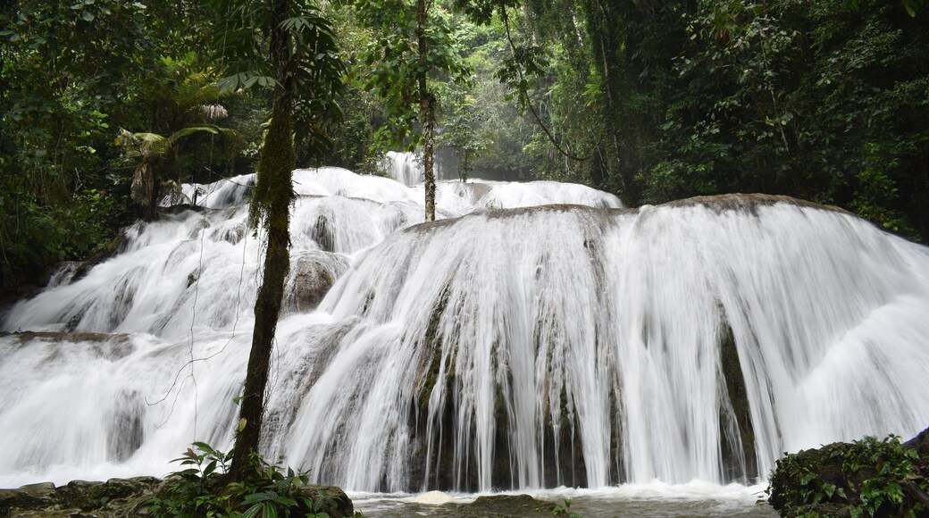 Sentral-Sulawesi