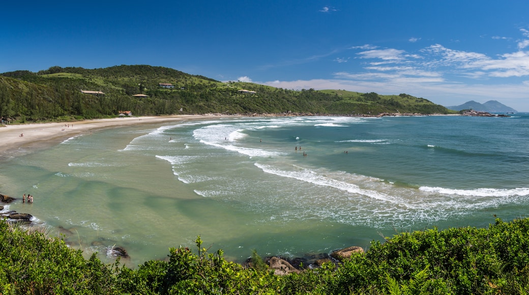 Praia do Rosa, Imbituba, Santa Catarina (delstat), Brasil