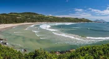 Praia do Rosa, Imbituba, Santa Catarina, Brésil