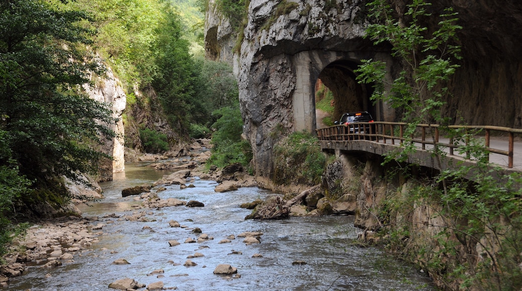 Stara Planina