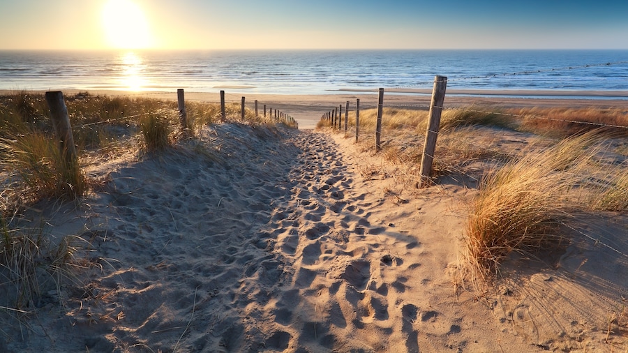 Playa de Zandvoort