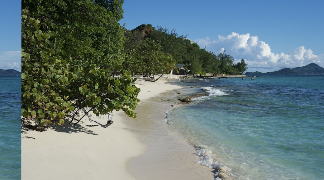 Mayreau Island