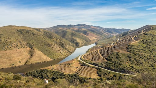 Vila Nova de Foz Côa