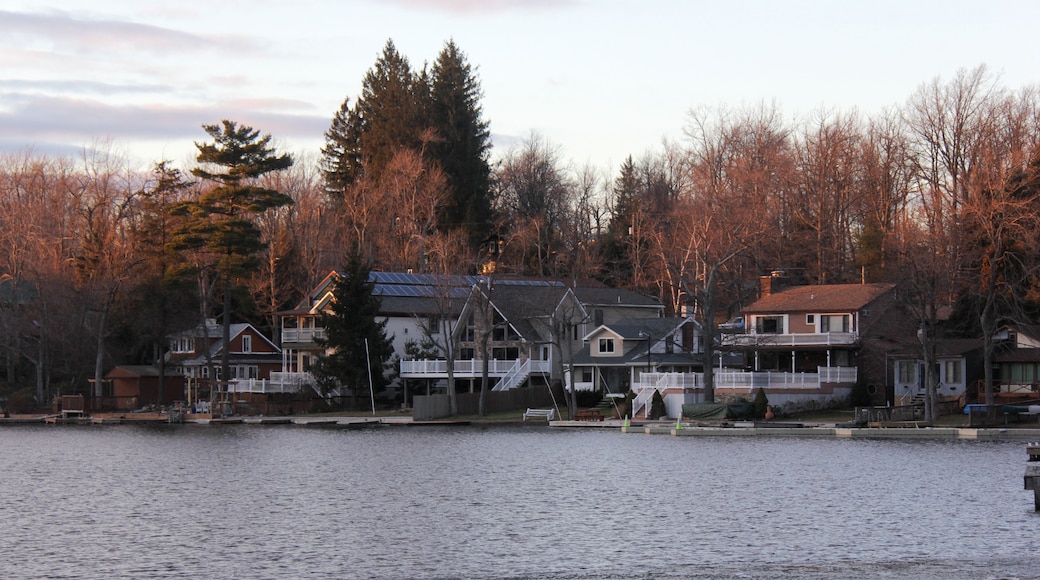 Pinos de Pocono