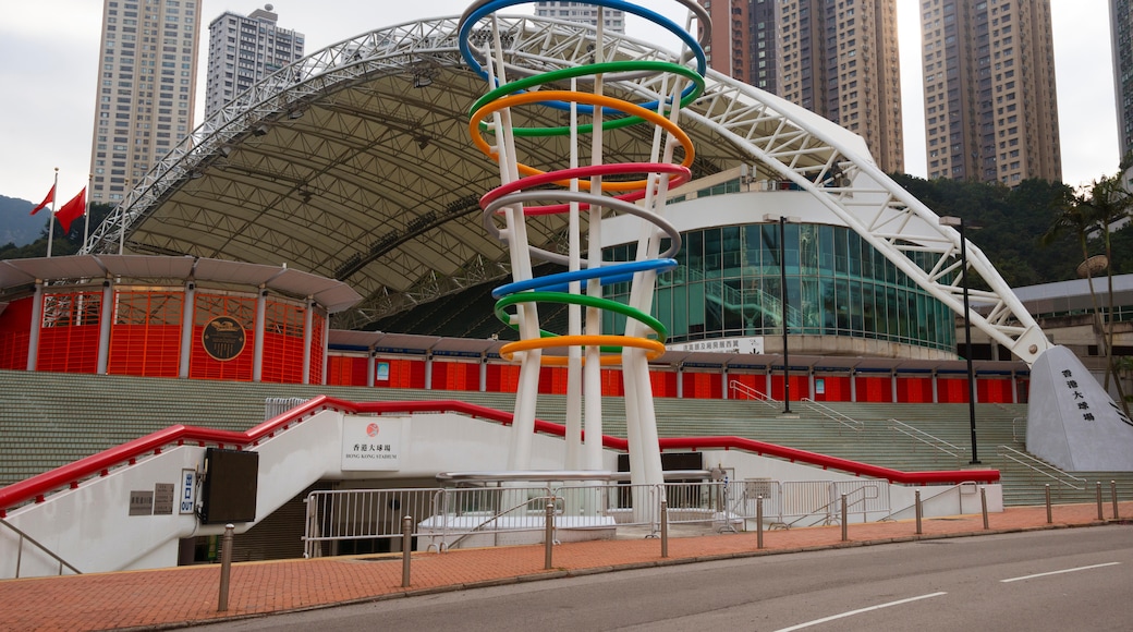 Sân vận động Hồng Kông