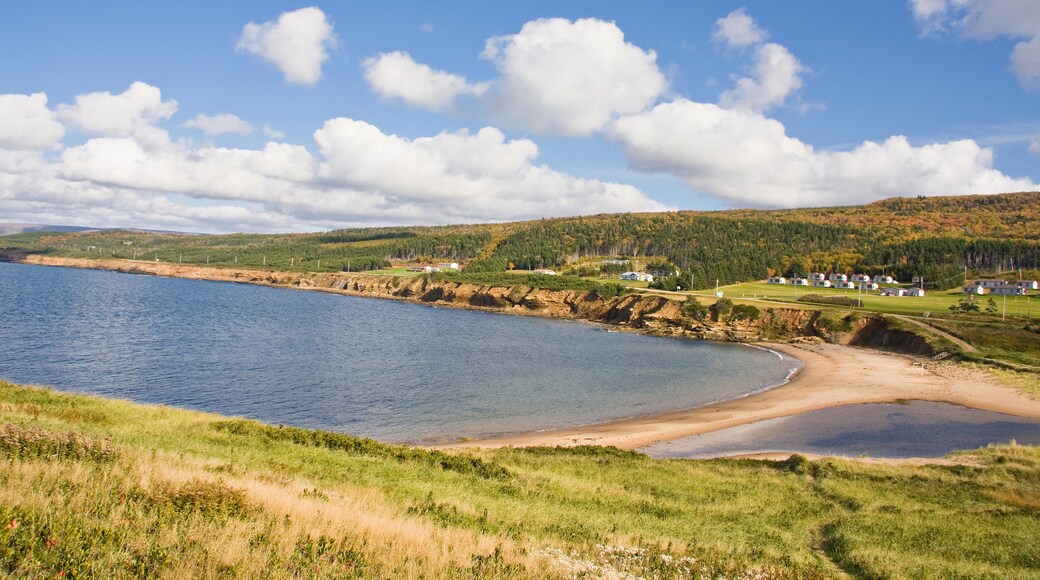 Dundee