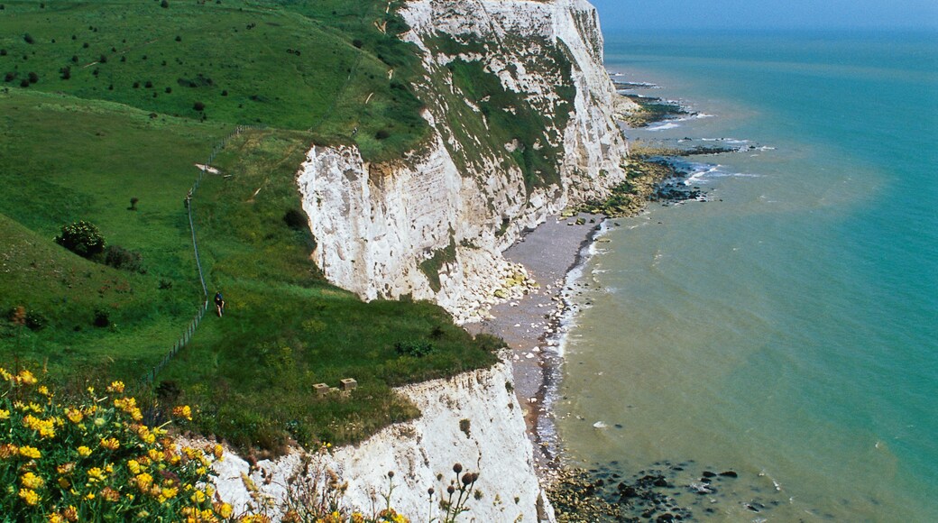 Le bianche scogliere di Dover, Dover, Inghilterra, Regno Unito