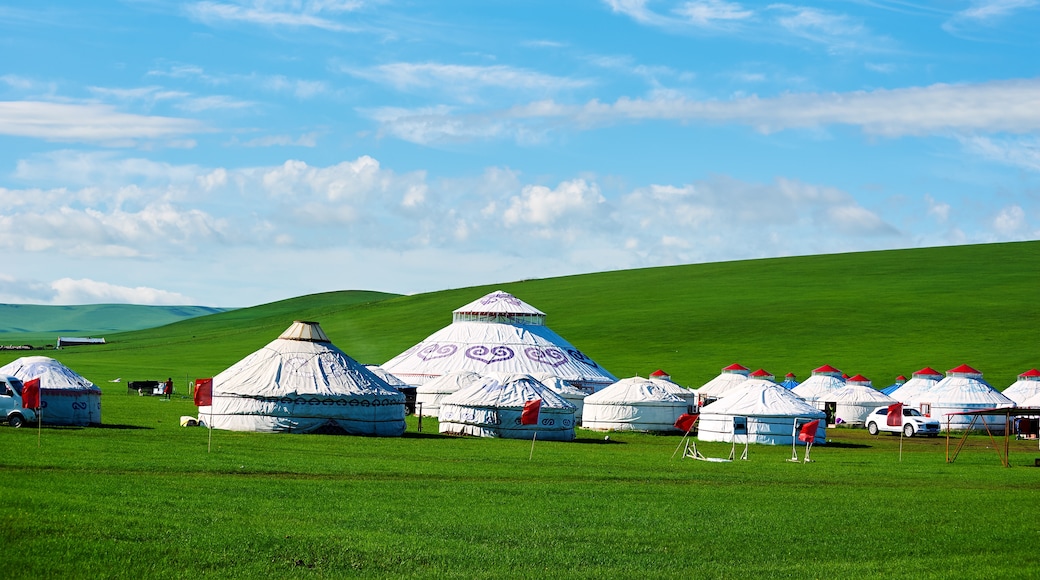 Mongolia Interior