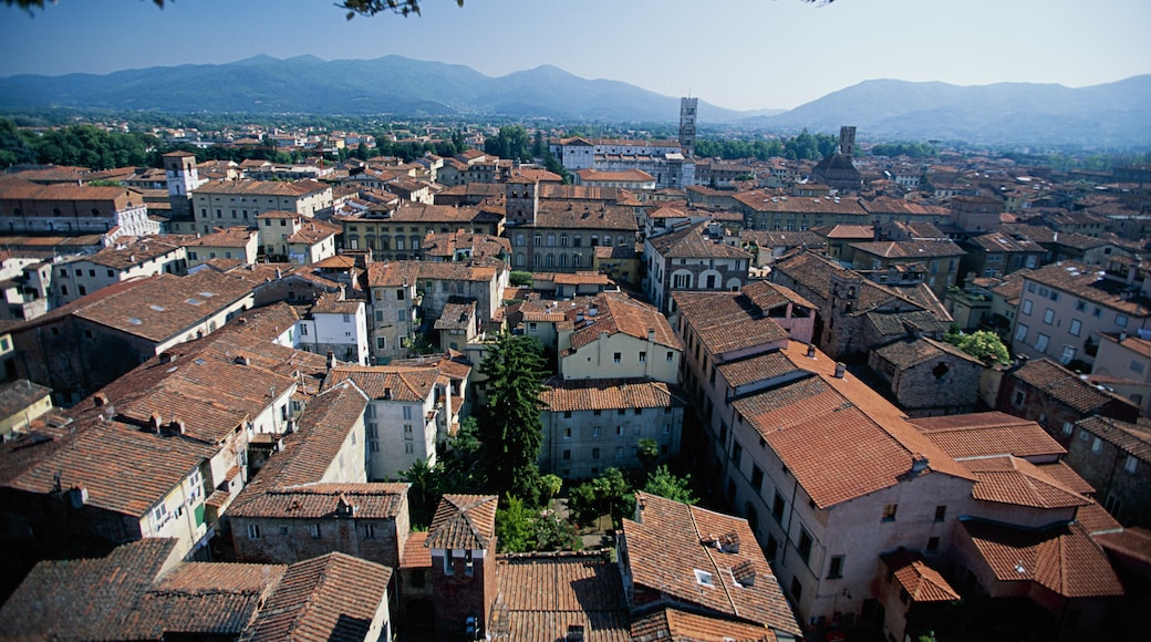 Centro storico di Lucca, Lucca, Toscana, Italia