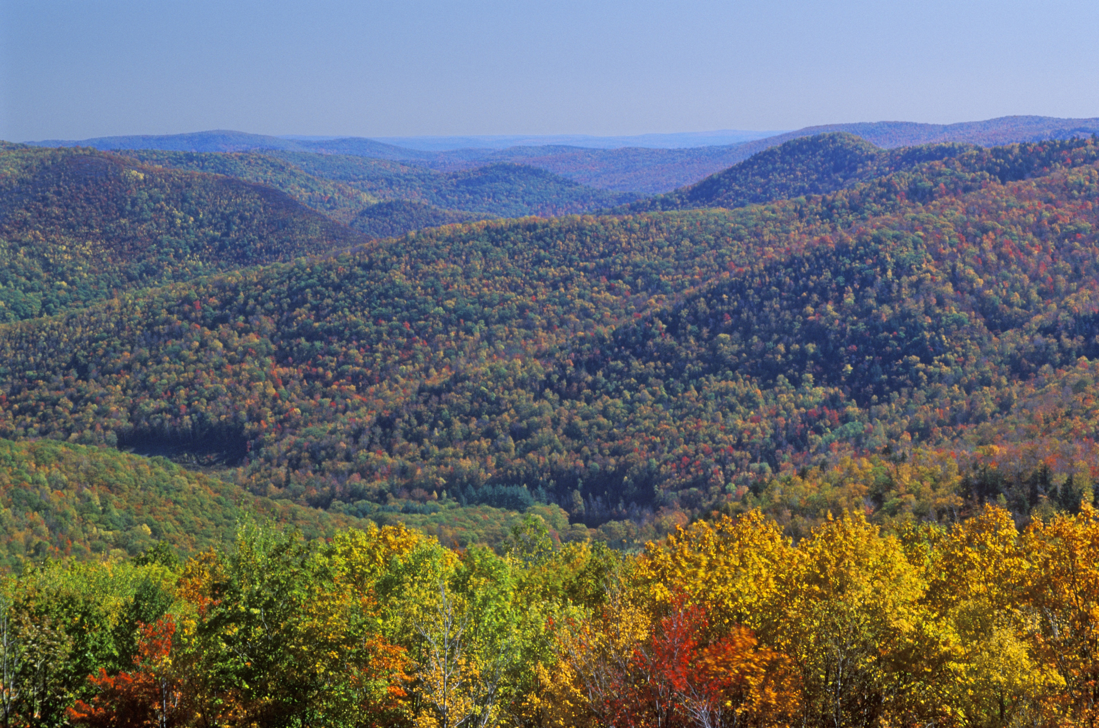 Escape to Serenity: A Guide to Sandisfield State Forest in Massachusetts