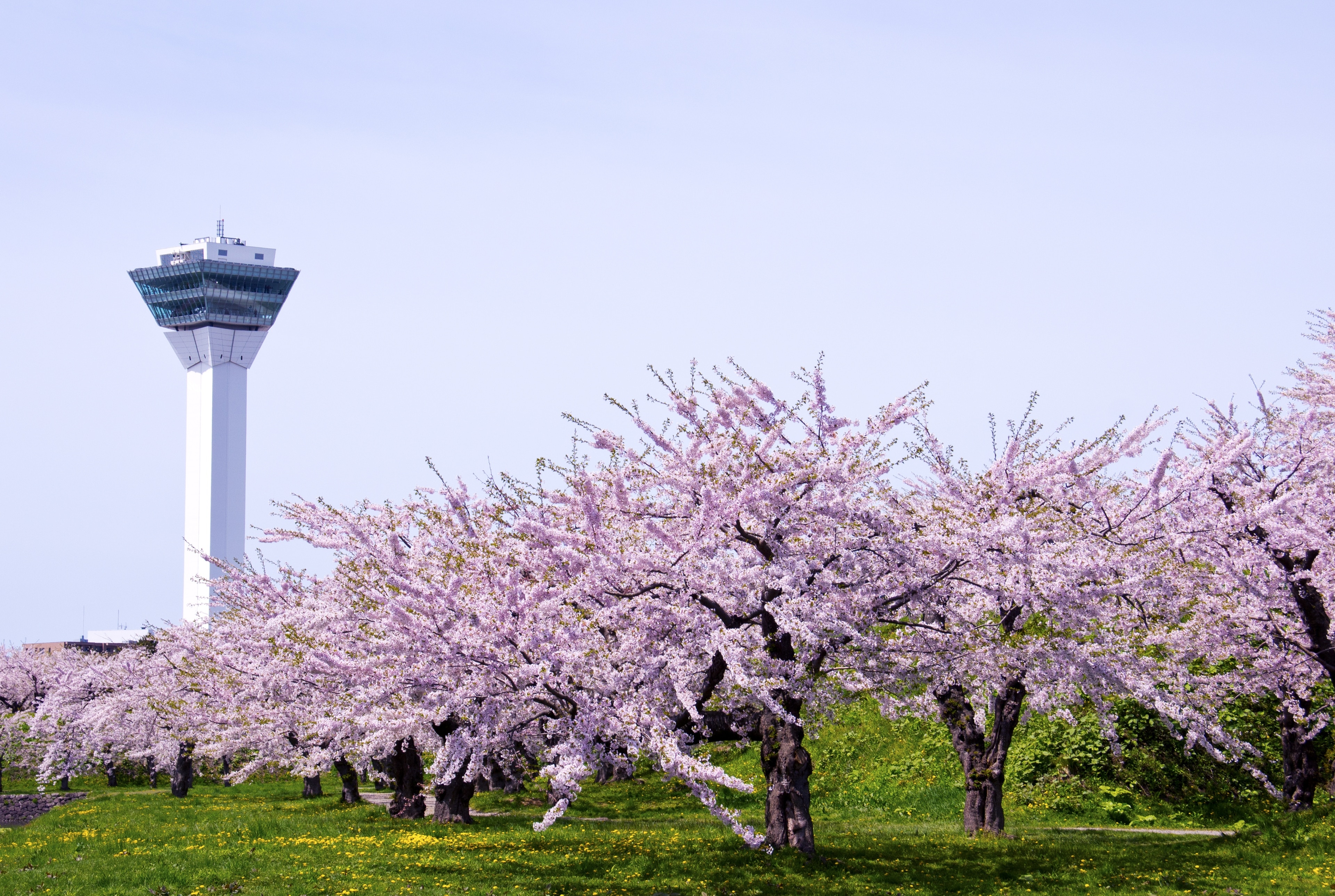 五稜郭タワー (函館) - ツアーとアクティビティ | エクスペディア