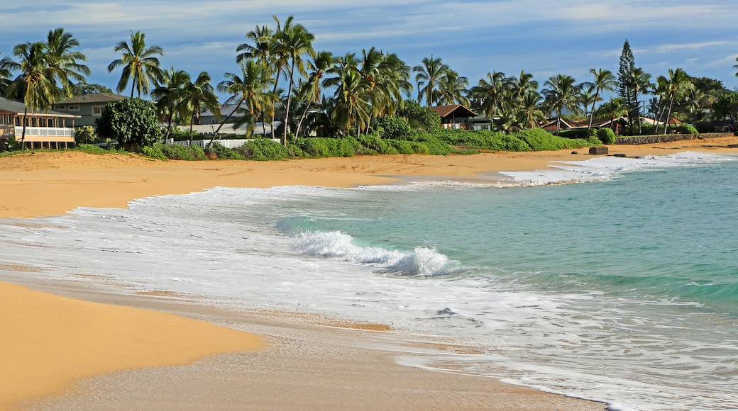 Makaha Beach Park, Waianae, Hawaii, United States of America