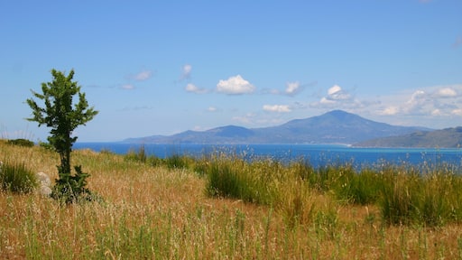 Palinuro