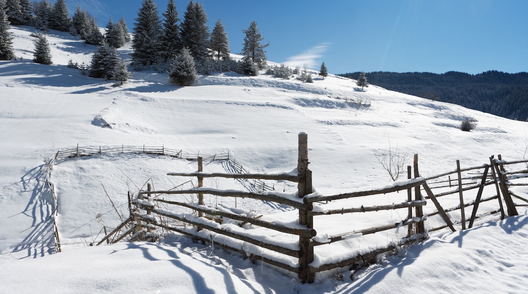 Rhodopes Mountains