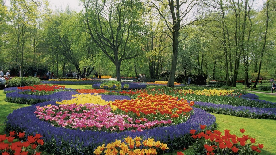 Jardines de Keukenhof
