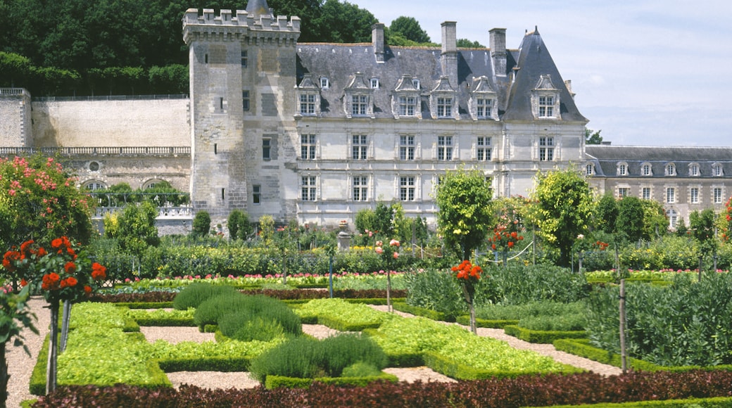 Chateau de Villandry, Villandry, Indre-et-Loire (departement), Frankrig