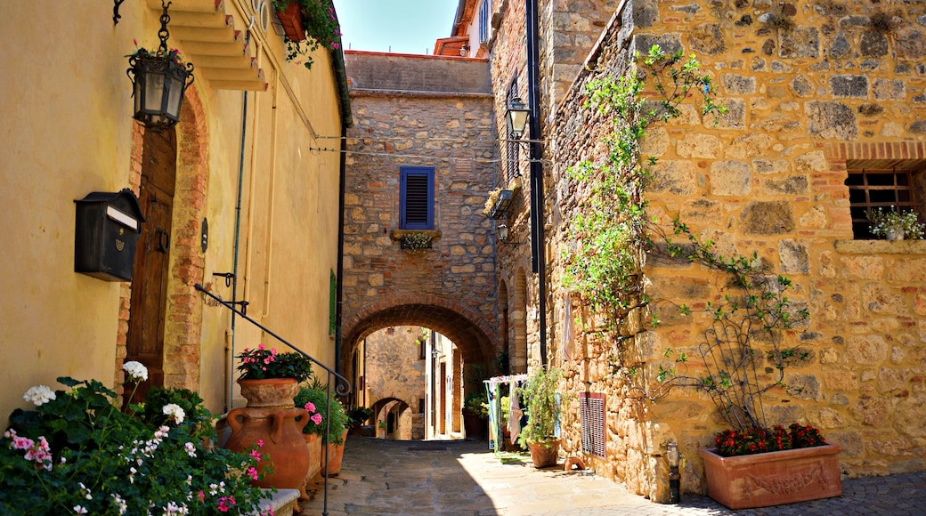 Bibbona, Tuscany, Italia