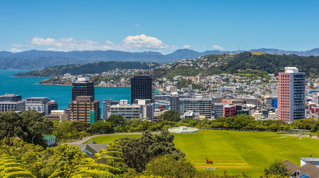 Lambton Quay, Wellington, Wellington Region, New Zealand