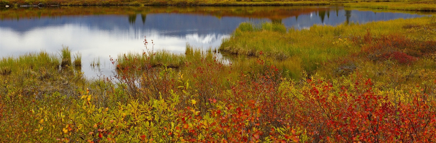 McKinley Park, Alaska, USA
