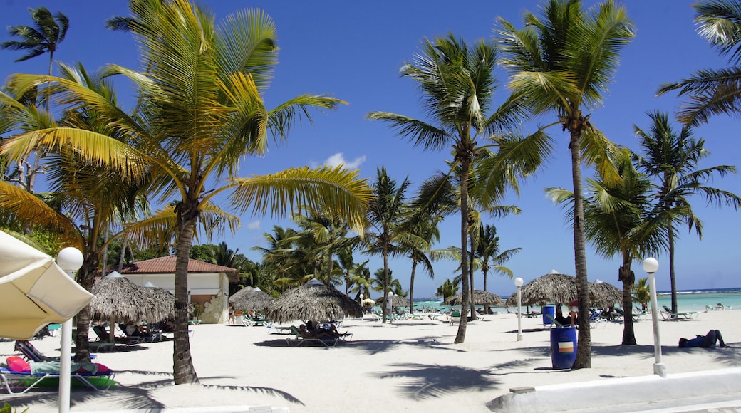 細嘴灘, 聖多明各 (省), 多明尼加共和國