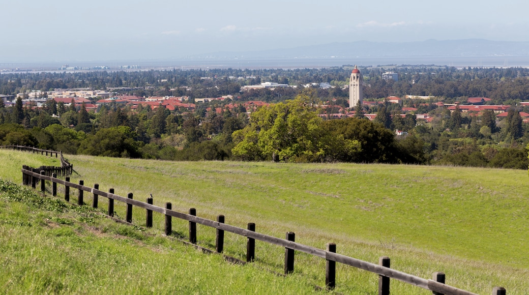 Universitas Stanford, Palo Alto, California, Amerika Serikat