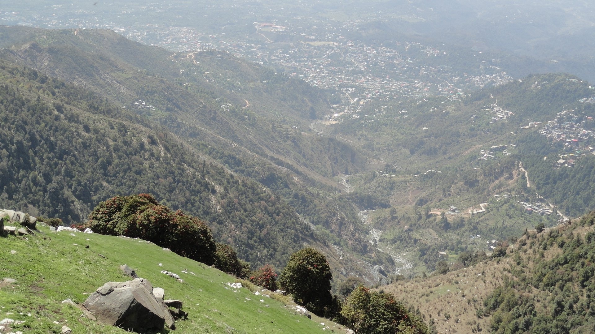 Dharamkot to Mcleodganj Trek Route • Nature Trail » outdooractive.com