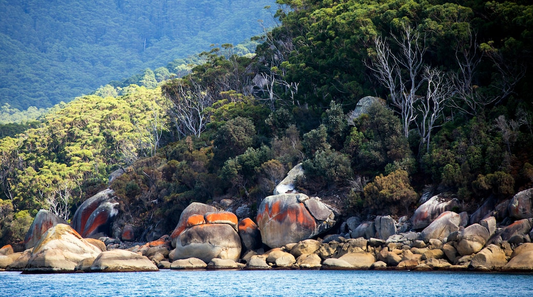 Parque Nacional Promontorio Wilsons