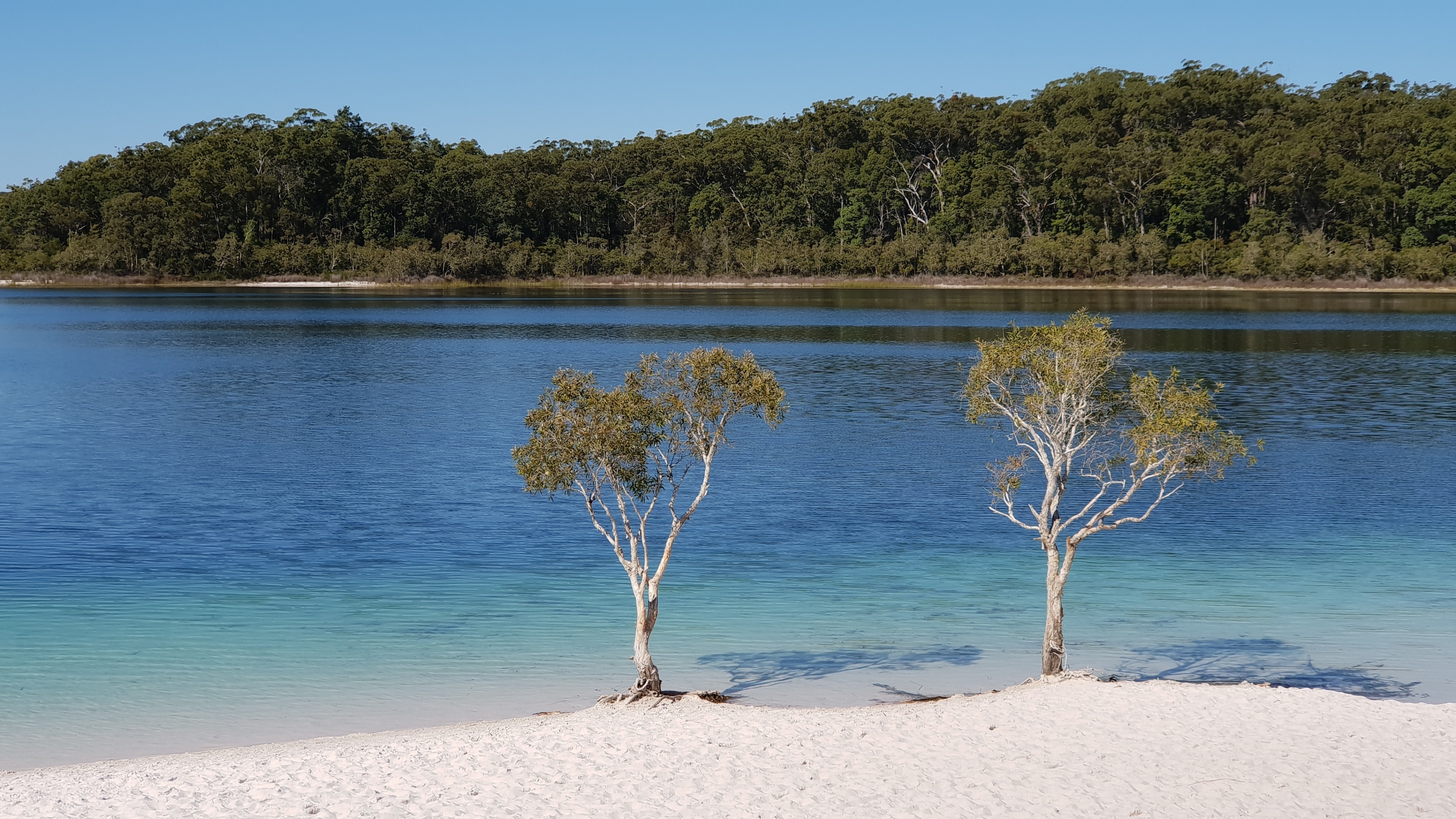 Hoteles En K'gari, Queensland Desde USD 69 - Reserva En Línea Con ...