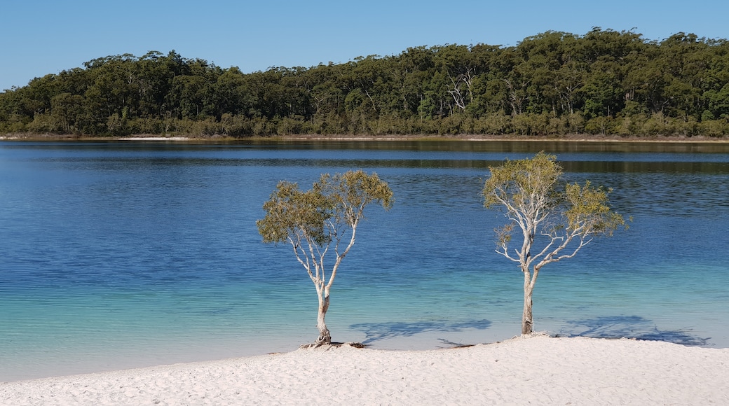 Kingfisher Bay, Fraser Island, Queensland, Australia