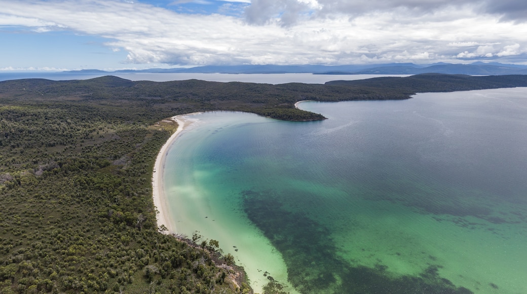 Kingfisher Bay