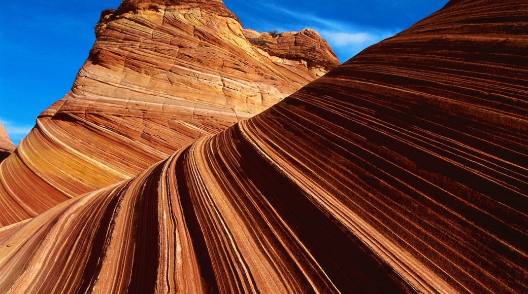The Wave of Coyote Buttes, Marble Canyon, Arizona, United States of America