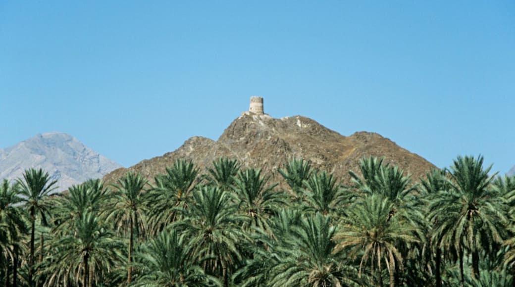 Nizwa, Ad Dakhiliyah Guvernement, Oman