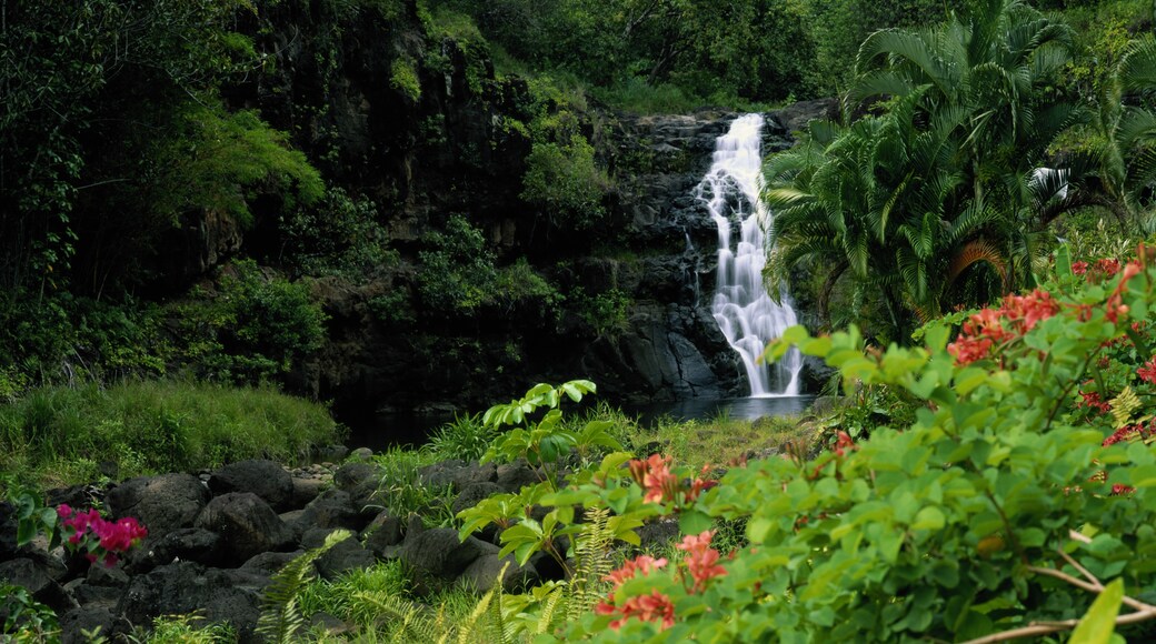 Waipo’o Falls