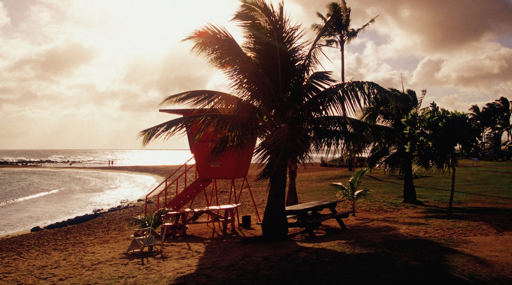 Poipu Beach